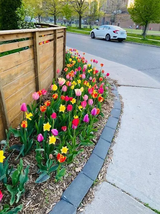 Impression 2 Bedrooms Apartment Space Share  Toronto