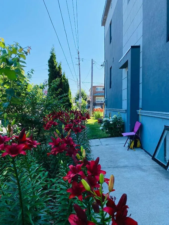 Impression 2 Bedrooms Apartment Space Share Toronto